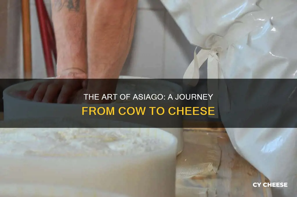 how is asiago cheese made