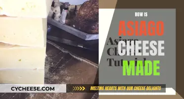 The Making of Asiago Cheese: A Step-by-Step Guide