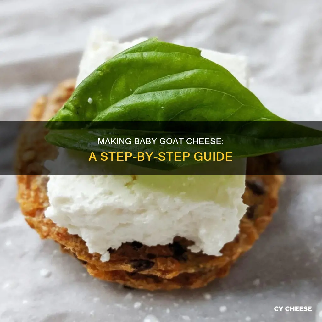 how is baby goat cheese made
