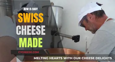 Baby Swiss Cheese: The Making Process Explained