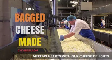 Unveiling the Mystery: The Art of Making Bagged Cheese