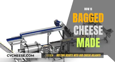 The Making of Bagged Cheese: Process Explained