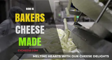 The Art of Baking: Unveiling the Secrets of Bakers' Cheese