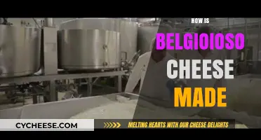 The Art of Belgian Blue: Unveiling Belgium's Cheesy Secret