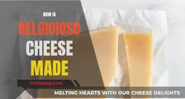 Belgioioso Cheese: Crafting Italy's Finest Mozzarella
