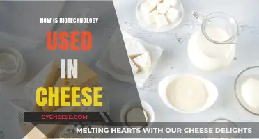 Biotechnology's Role in Cheese Making