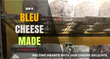 Unveiling the Secrets: A Journey into Blue Cheese's Fermented Artistry