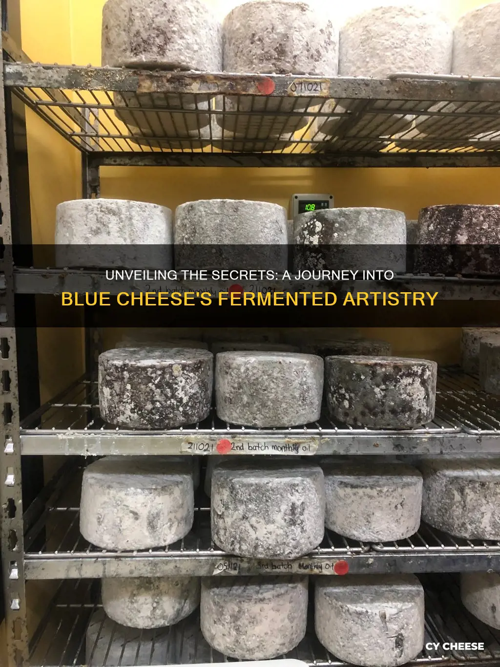 how is bleu cheese made