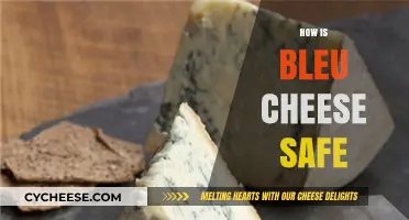 Is Bleu Cheese Safe? Understanding Its Unique Aging Process and Benefits