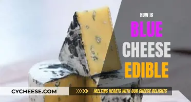 Blue Cheese Edibility: A Curious Conundrum