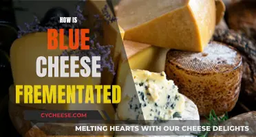 The Art of Blue Cheese Fermentation Explained