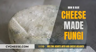 The Magic of Fungi: Blue Cheese's Tasty Secret