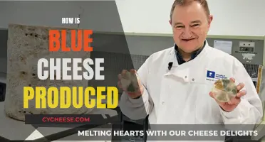 Blue Cheese Production: A Step-by-Step Guide