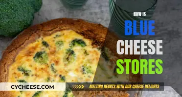 Blue Cheese Storage: Best Practices for Longevity
