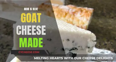 Goat Cheese Magic: Blue Mold Transformation