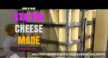 The Art of Blue Stilton: Unveiling the Cheesy Process