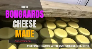 The Art of Bongaards Cheese: A Traditional Make