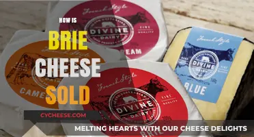 Exploring Brie Cheese Sales: Packaging, Distribution, and Retail Options