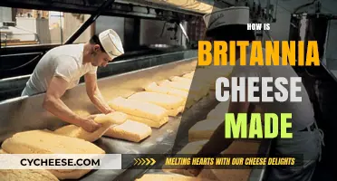 Unveiling the Art of Britannia Cheese: A Traditional Craft