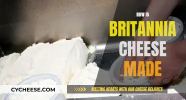 Britannia Cheese: A Step-by-Step Guide to Its Making