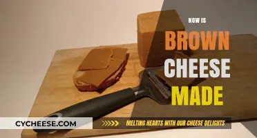 Unveiling the Secrets: A Guide to Brown Cheese