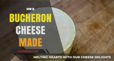 Unveiling the Art of Bucheron Cheese: A Crafted Delicacy