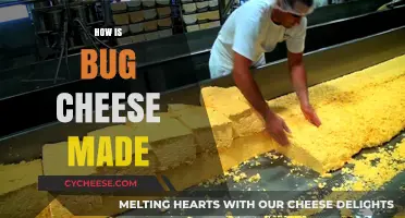 Uncovering the Secrets: A Guide to Making Bug Cheese