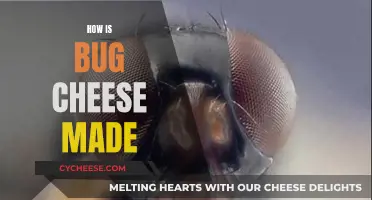 The Process of Making Bug Cheese Explained