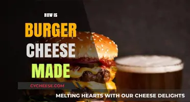 Unveiling the Secrets: A Journey into the Art of Burger Cheese