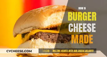 The Art of Burger Cheese: A Tasty Science