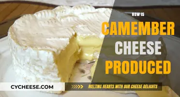 From Mold to Creamy Delight: The Art of Making Camembert Cheese