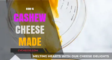 Unveiling the Art of Cashew Cheese: A Creamy Transformation