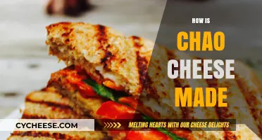 Unveiling the Secrets: A Journey into the Art of Chao Cheese