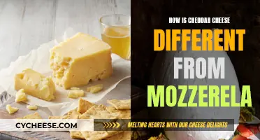 Cheddar vs Mozzarella: What Sets Them Apart?