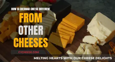 Cheddar Cheese: A Unique Taste and Texture