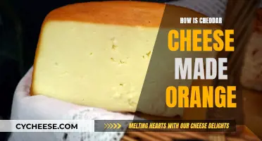 Cheddar Cheese's Orange Mystery: A Colorful Culinary Adventure