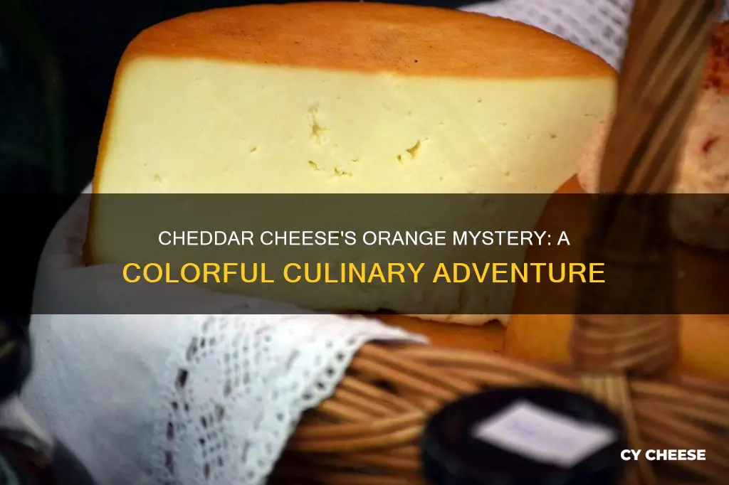 how is cheddar cheese made orange