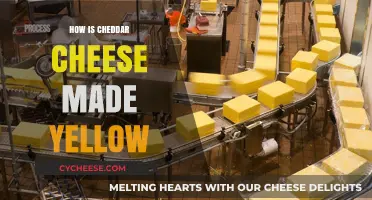 The Golden Secret: Unveiling Cheddar's Vibrant Yellow Hue