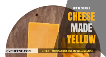 Cheddar Cheese's Yellow Color: The Science Behind It