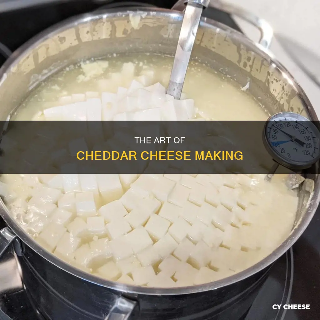 how is cheddar cheese produced