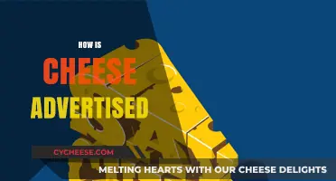 Creative Cheese Advertising: Strategies, Trends, and Consumer Engagement Techniques