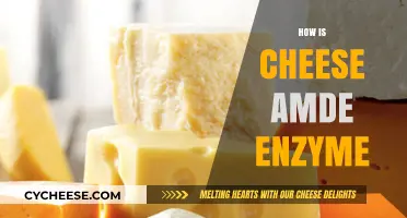 The Science Behind Cheese: Enzymes and the Art of Curdling Milk