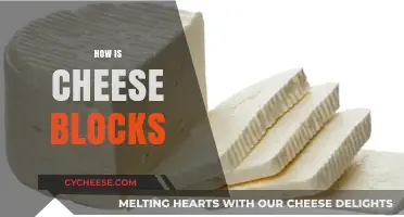 Exploring the Texture, Flavor, and Uses of Cheese Blocks
