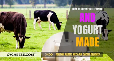 Dairy Delights: Making Cheese, Buttermilk, and Yogurt
