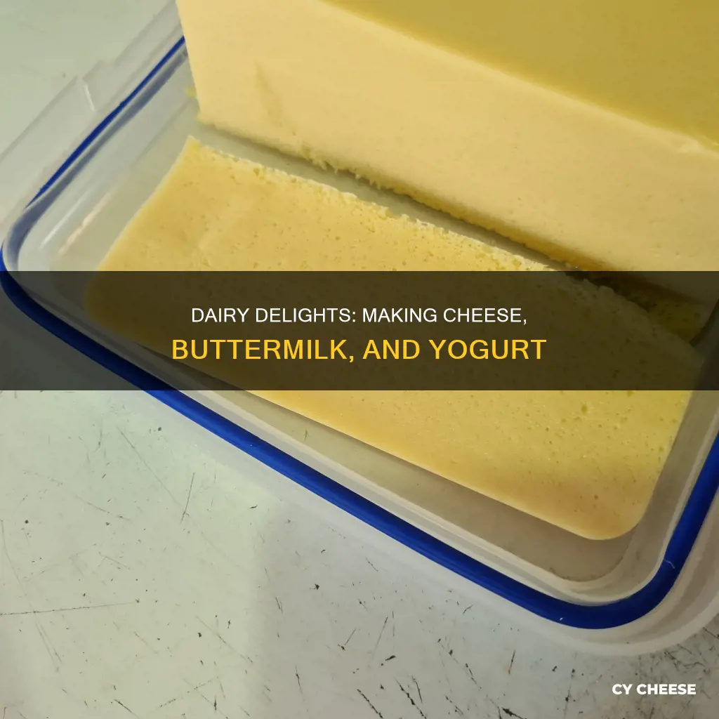 how is cheese buttermilk and yogurt made