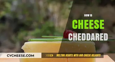 Mastering the Art of Cheddaring: A Step-by-Step Cheese-Making Guide