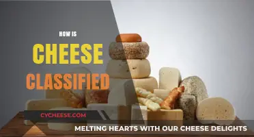 Understanding Cheese Classification: Types, Categories, and Varieties Explained