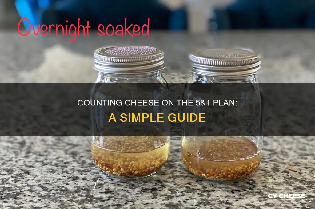 how is cheese counted on the 5&1