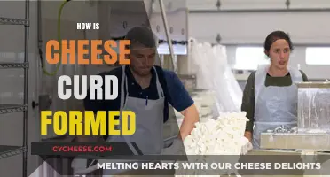 The Science Behind Cheese Curd Formation: A Step-by-Step Guide