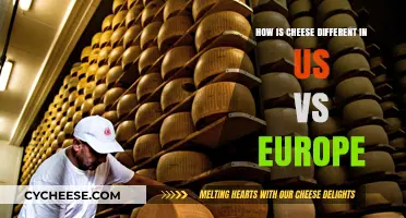 Cheese Wars: Exploring US vs. European Cheese Differences and Traditions